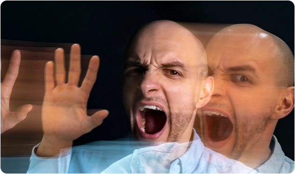 Chestionar agresivitate